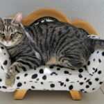 Achtsamkeitstraining als wirksame Therapie gegen Burnout