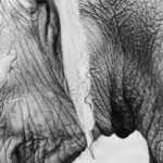 Hier ist der Artikel mit den entsprechenden HTML-Tags: