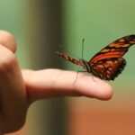 Psychologische Aspekte von Daumenlutschen im Erwachsenenalter