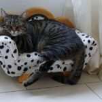 Selbstreflexion durch Hypnose: Die Kunst, sich selbst zu verstehen