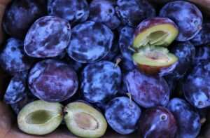 Hungern im Kopf – So funktioniert die Appetitzügelung durch Hypnose