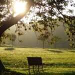 Hypnose gegen Burnout: Wie die Therapie uns helfen kann, Stress und Belastungen zu bewältigen