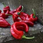 Hypnotische Gewichtsreduktion im Test: Wirksamkeit und Erfahrungen