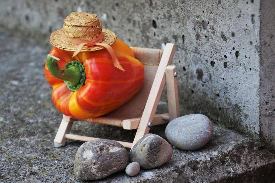 paprika-4336024_960_720.jpg abnehmen