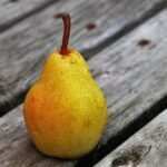 Hypnose als körperliches Wohlbefinden: Sportliche Ziele erreichen