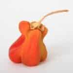 Hypnose als Werkzeug zur Erreichung eines gesunden Körperbildes