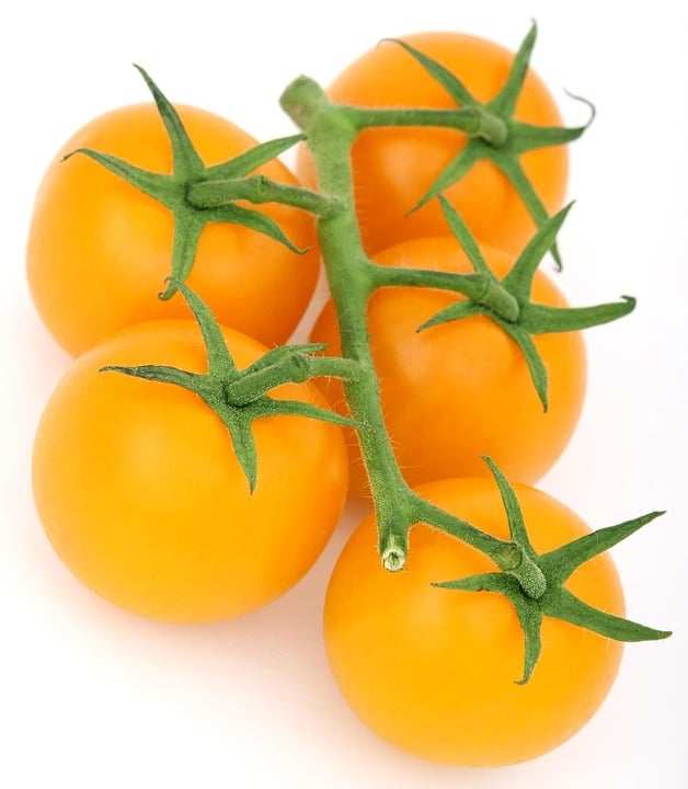 abnehmen