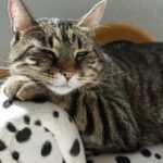 Mit Hypnotherapie zur inneren Ruhe: Warum entspanntes Sein ein wichtiger Baustein zur Burnout-Prävention ist