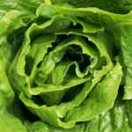 Hypnose zur Behandlung von Körperbild-Störungen: Was du wissen musst