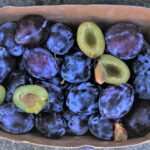 Negative Glaubenssätze bearbeiten: Wie Hypnose beim Abnehmen hilft