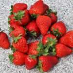 Die Kraft des Unterbewusstseins: Wie Hypnose zur Schrumpfung von Fettzellen beitragen kann