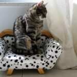 Hypnose bei Burnout: Wie Selbstliebe und Selbstakzeptanz die Genesung unterstützen können