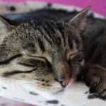 Mentale Kraft und Selbstfürsorge: Energie aufladen bei Burnout