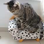 Visualisierungstechniken bei Burnout: Wie Sie zu innerer Ruhe finden