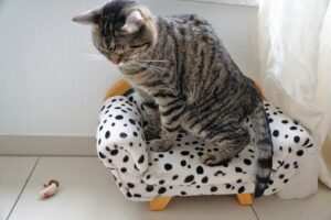 Visualisierungstechniken bei Burnout: Wie Sie zu innerer Ruhe finden