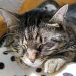 Raus aus der Burnout-Falle: Wie Selbsterkenntnis helfen kann