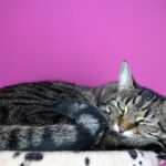 Mit Hypnose die eigene Selbstliebe stärken: Wie man zu einem positiven Selbstbild findet