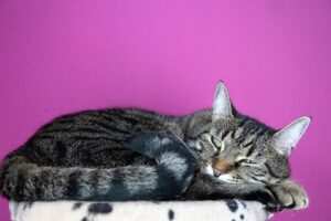 Mit Hypnose die eigene Selbstliebe stärken: Wie man zu einem positiven Selbstbild findet