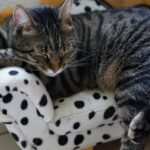 Hypnose-Therapie als Weg aus dem Burnout-Tief