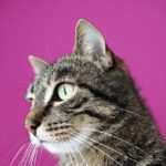 Hypnose als Weg zu mehr Selbstbewusstsein und einem positiven Mindset