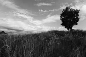 Hypnose als Heilmittel bei Burnout: Wissenschaftliche Erkenntnisse und praktische Anwendungen.